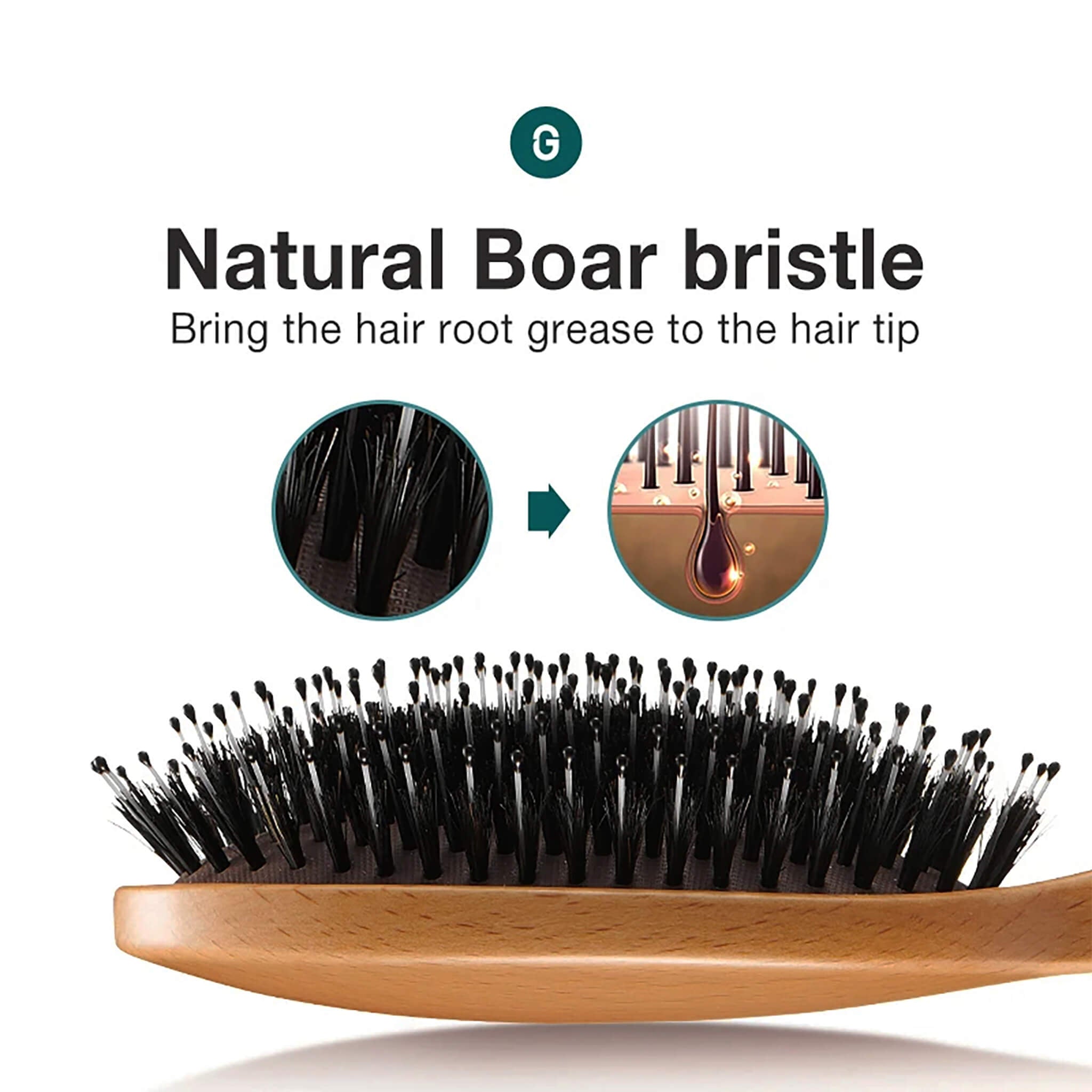 Close-up of MR.GREEN natural boar bristles moving scalp oils root to tip for frizz control, smooth detangling and glossy shine.